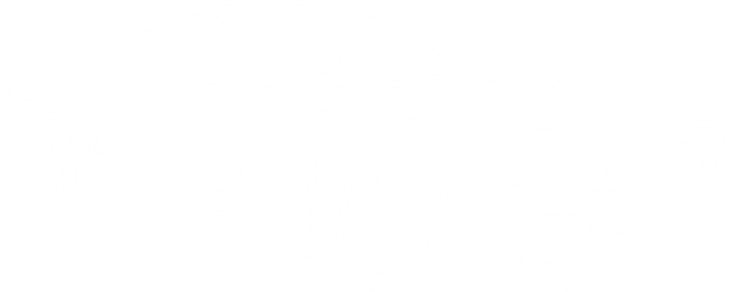 DriveX Auto Deals LLC